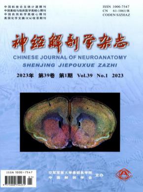 神经解剖学杂志